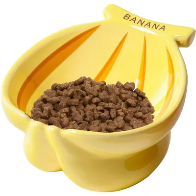 Bol Inclinée Banane adapté au Chat