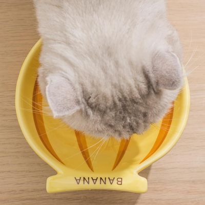 Bol Inclinée Banane adapté au Chat