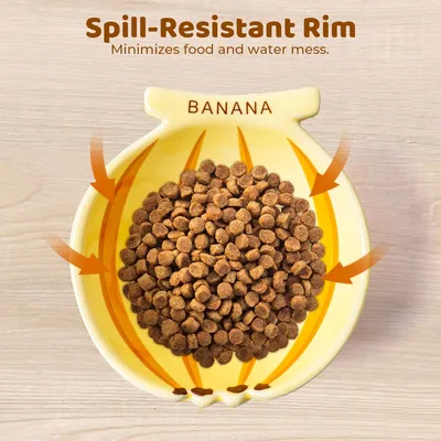 Bol Inclinée Banane adapté au Chat