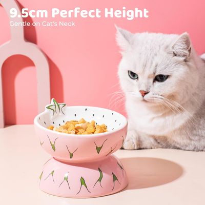 Gamelle Surélevée en Céramique pour Chat