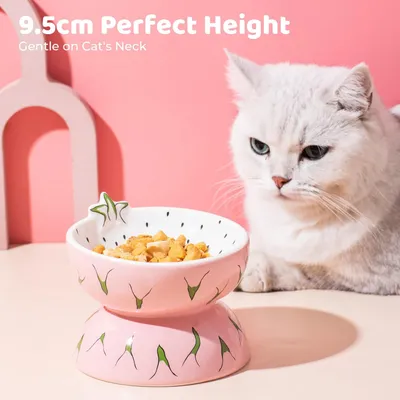 Gamelle Surélevée en Céramique pour Chat