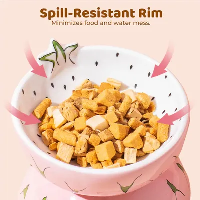 Gamelle Surélevée en Céramique pour Chat