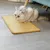 Sisal Chat Griffoir Tapis pour Canapé