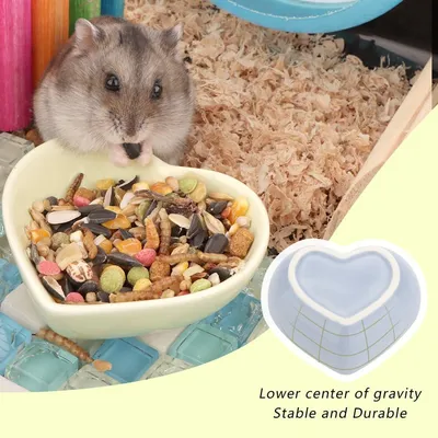 Gamelle en céramique anti-retournement pour hamster