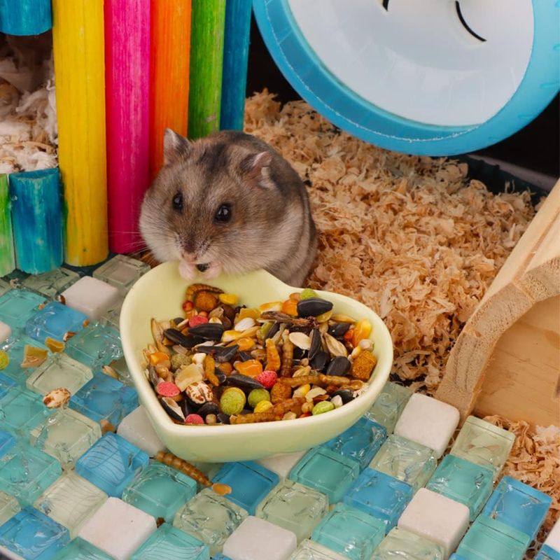 Gamelle en céramique anti-retournement pour hamster