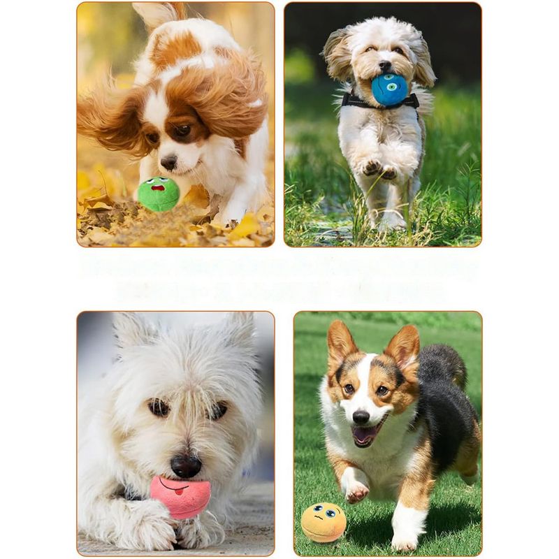 Balles en peluche douces et couinantes pour chiens
