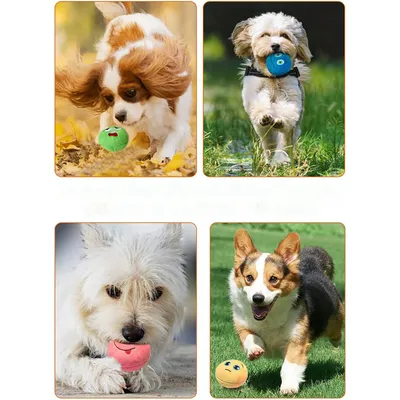 Balles en peluche douces et couinantes pour chiens