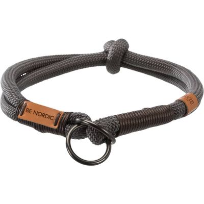 Collier pour Chiens Bande Boucle pour Chiot Aniaux Chat ulti-taille
