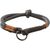Collier pour Chiens Bande Boucle pour Chiot Aniaux Chat ulti-taille