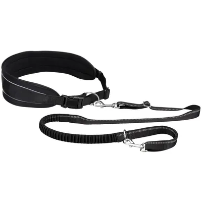 Ceinture de Jogging pour Chiens aisse pour Chiens Chiot Muti-taie