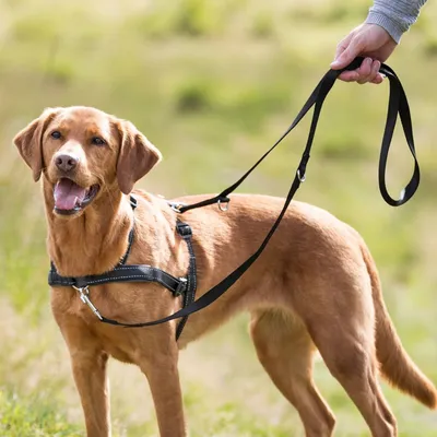 TRIXIE Trainingsgeschirr Lead'n'Walk Soft TRIXIE Trainingsgeschirr Lead'n'Walk Soft