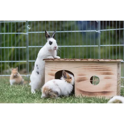 TRIXIE Haus Grete TRIXIE Haus Grete