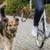 TRIXIE Ensemble laisse de vélo pour chien Forme en U Noir TRIXIE Ensemble laisse de vélo pour chien Forme en U Noir