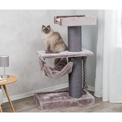 TRIXIE Griffoir pour chats Ramon XXL Cappuccino