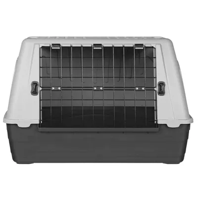 Boîte de Transport Transporteur pour Animaux de Compagnie Multi-taille