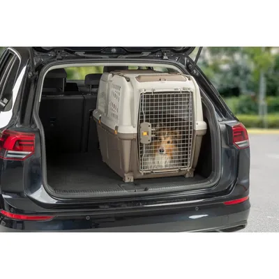 Boîte de Transport pour Animaux de Compagnie Chiens Multi-taille Boîte de Transport pour Animaux de Compagnie Chiens Multi-taille