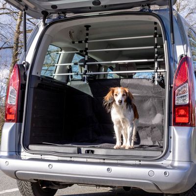 TRIXIE verstellbares Autogitter aus Aluminium