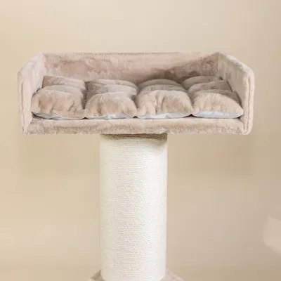 RHR Quality Arbre à chat Maine Coon Lounge