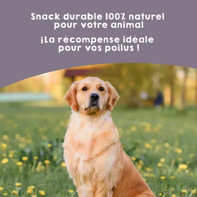 Snack Queue de Taureau pour Chiens – 1 x 10 unités