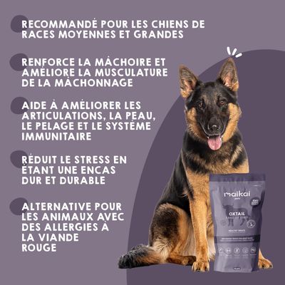 Snack Queue de Taureau pour Chiens – 1 x 10 unités