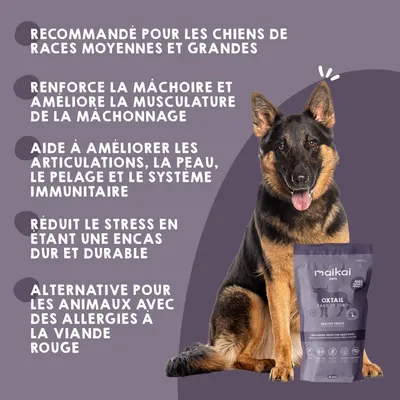 Snack Queue de Taureau pour Chiens – 1 x 10 unités