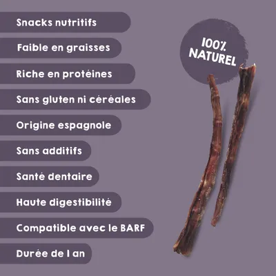 Snack Queue de Taureau pour Chiens – 1 x 10 unités