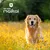 Snack Queue de Taureau pour Chiens – 1 x 10 unités