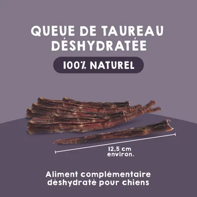 Snack Queue de Taureau pour Chiens – 1 x 10 unités