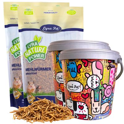 Lyra Pet® vers de farine en seau design