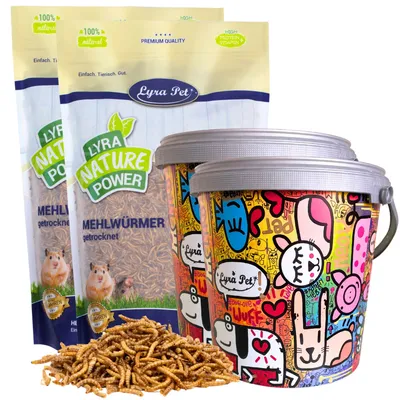 Lyra Pet® vers de farine en seau design