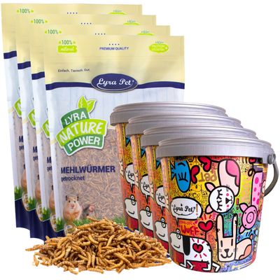 Lyra Pet® vers de farine en seau design