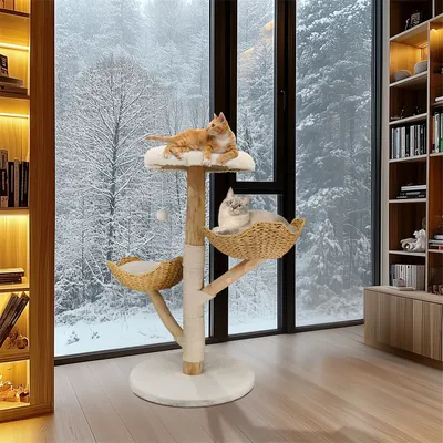 BingoPaw Arbre à Chat Hauteur Tour de Jeux pour Chat