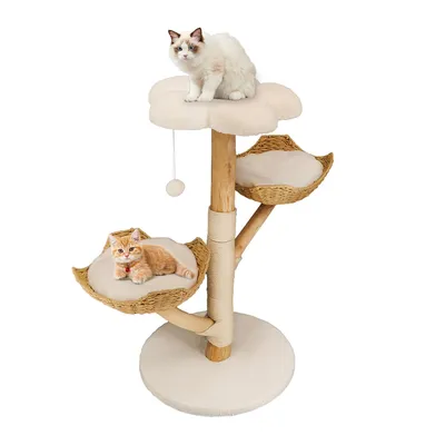 BingoPaw Arbre à Chat Hauteur Tour de Jeux pour Chat BingoPaw Arbre à Chat Hauteur Tour de Jeux pour Chat