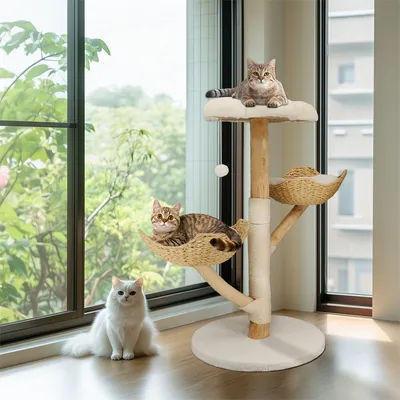 BingoPaw Arbre à Chat Hauteur Tour de Jeux pour Chat