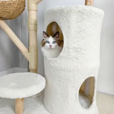 BINGOPAW Arbre à chat en Bois Naturel Living La Tour