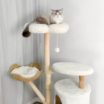 BINGOPAW Arbre à chat en Bois Naturel Living La Tour