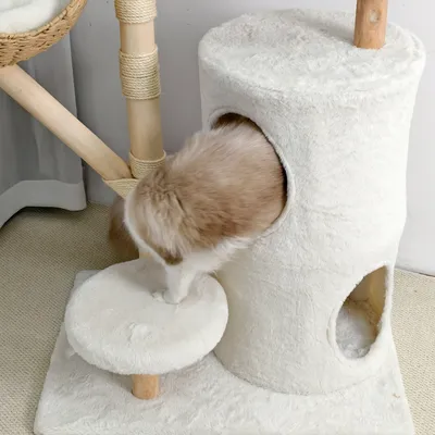 BINGOPAW Arbre à chat en Bois Naturel Living La Tour