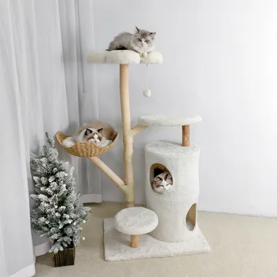 BINGOPAW Arbre à chat en Bois Naturel Living La Tour