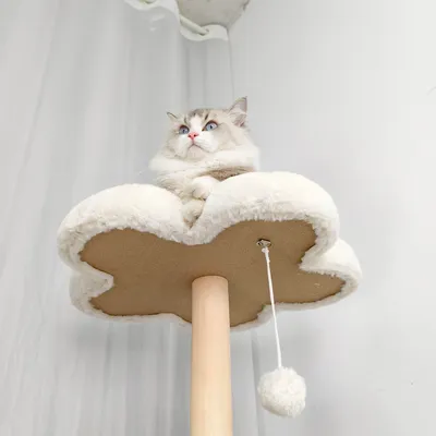BINGOPAW Arbre à chat en Bois Naturel Living La Tour