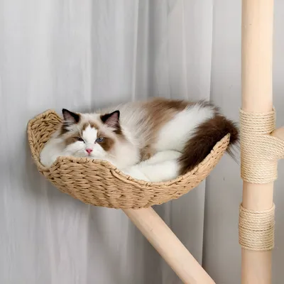 BINGOPAW Arbre à chat en Bois Naturel Living La Tour