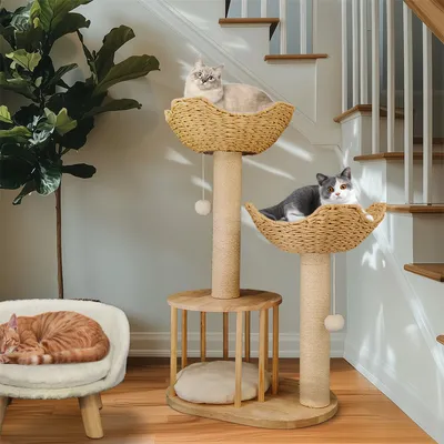 Arbre à Chat Hauteur Centre d'activités pour Chats avec Griffoir en Sisal