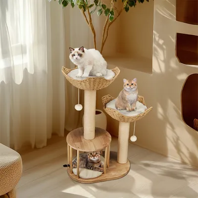 Arbre à Chat Hauteur Centre d'activités pour Chats avec Griffoir en Sisal