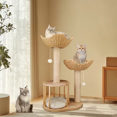Arbre à Chat Hauteur Centre d'activités pour Chats avec Griffoir en Sisal