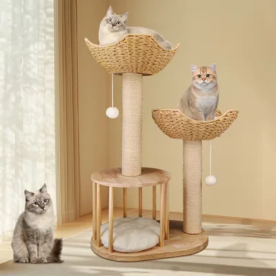 Arbre à Chat Hauteur Centre d'activités pour Chats avec Griffoir en Sisal