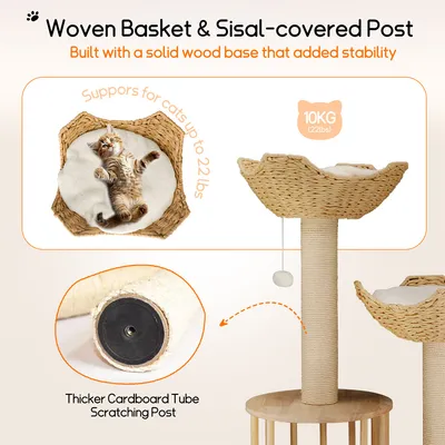 Arbre à Chat Hauteur Centre d'activités pour Chats avec Griffoir en Sisal