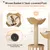 Arbre à Chat Hauteur Centre d'activités pour Chats avec Griffoir en Sisal