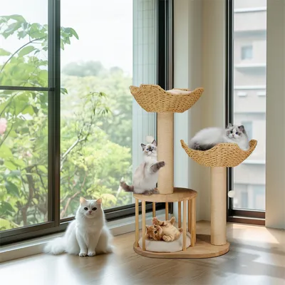 Arbre à Chat Hauteur Centre d'activités pour Chats avec Griffoir en Sisal