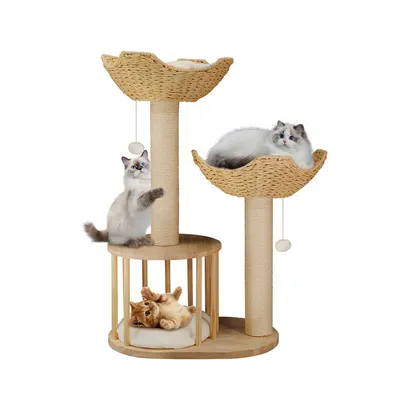 Arbre à Chat Hauteur Centre d'activités pour Chats avec Griffoir en Sisal