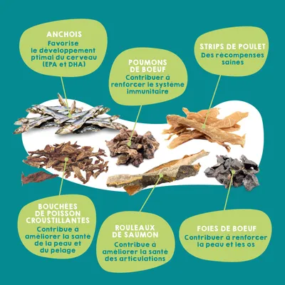 Paquet de friandises pour chat ou chien + huile de saumon 250ml