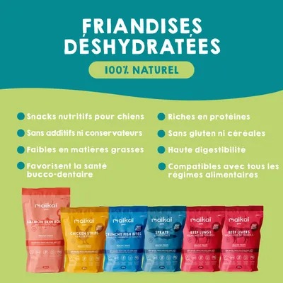 Paquet de friandises pour chat ou chien + huile de saumon 250ml